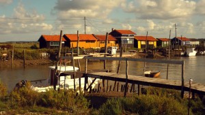 Charente Maritime - Port de la Tremblade - Camping la Coulumière