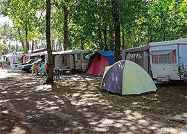 Emplacement-Tente-Caravane_Camping-la-Coulumiere_Location-la-tremblade-royan-la-palmyre